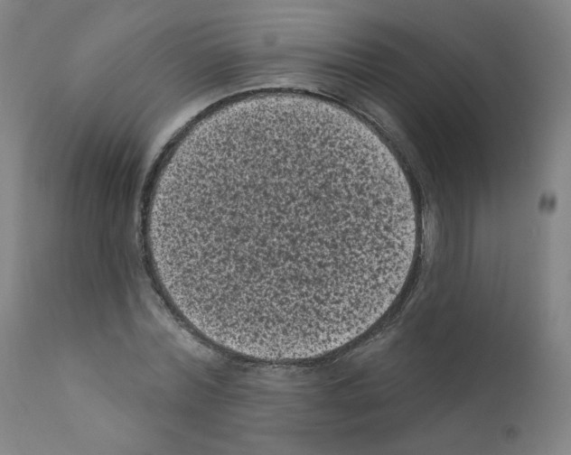 X0000110940780200907311015