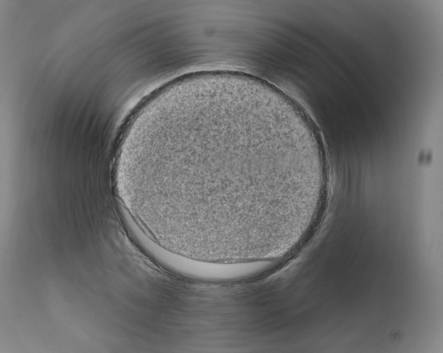 X0000110940781200907311015