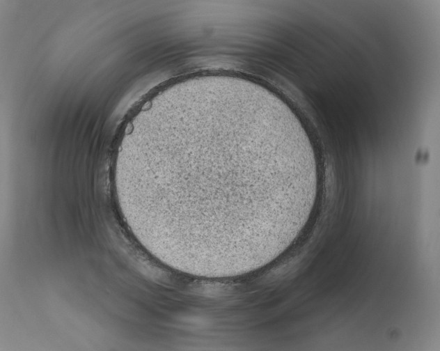 X0000110940782200907311015