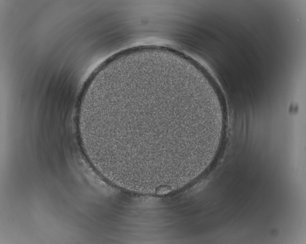 X0000110940783200907311015