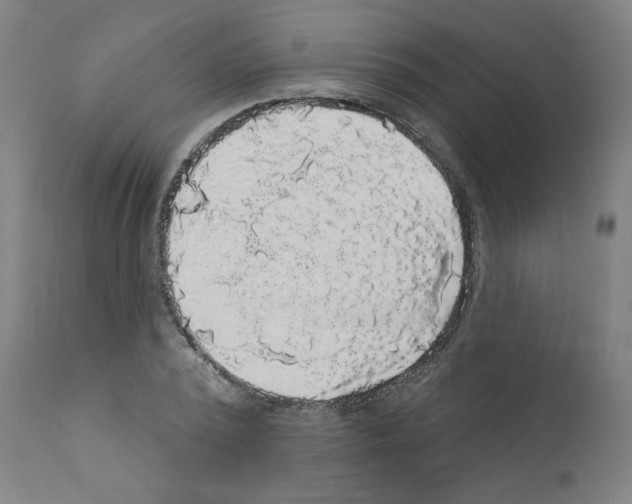 X0000110940784200907311015