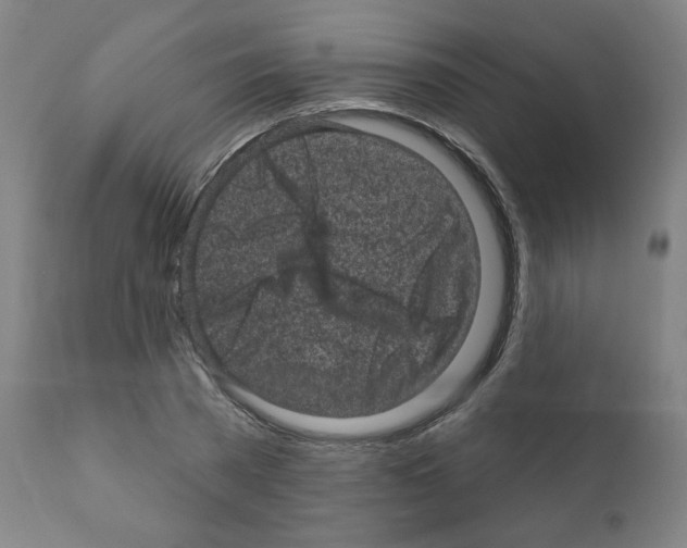 X0000110940785200907311015