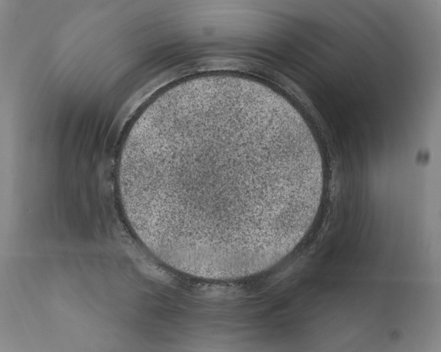 X0000110940786200907311015