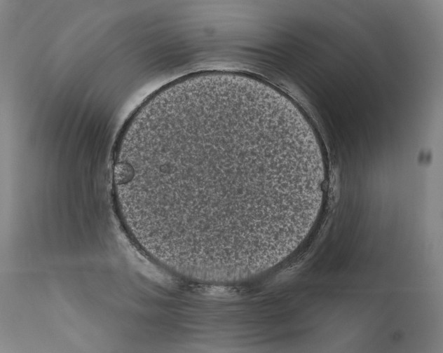 X0000110940787200907311015