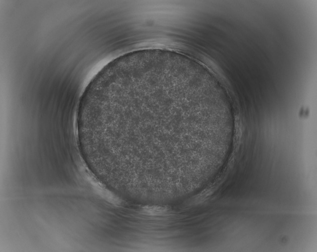 X0000110940788200907311015