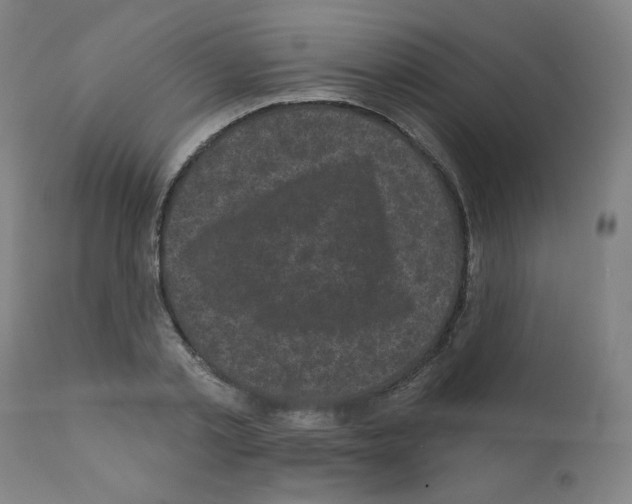 X0000110940789200907311015