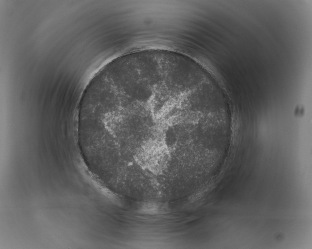 X0000110940790200907311015