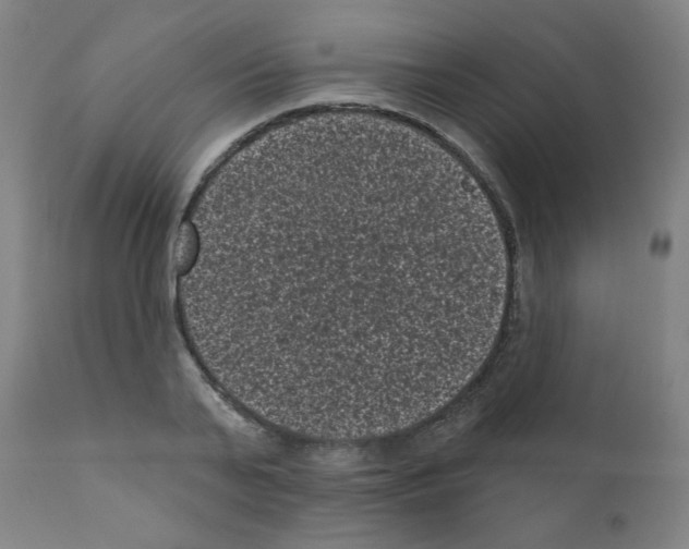 X0000110940791200907311015