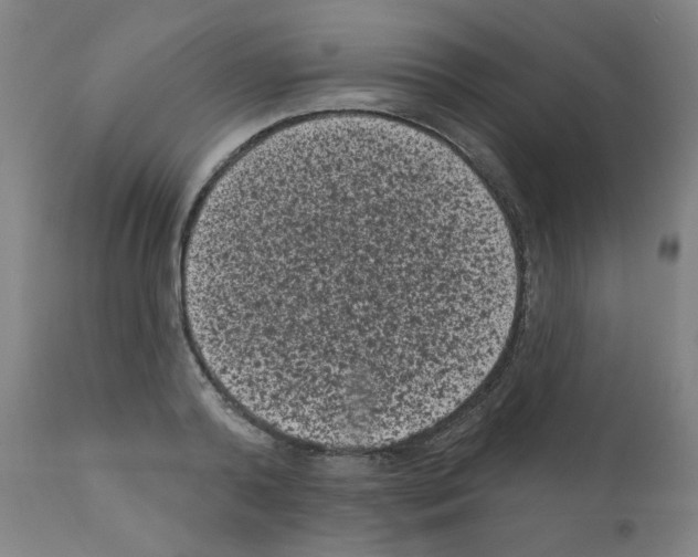 X0000110940792200907311015