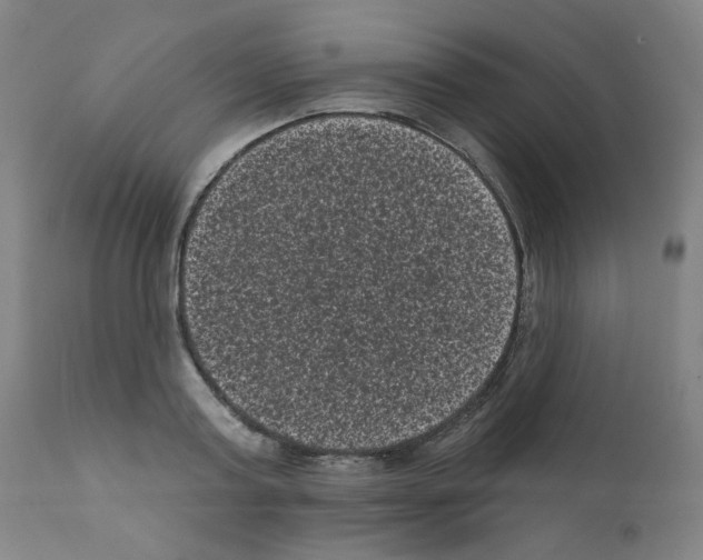 X0000110940795200907311015