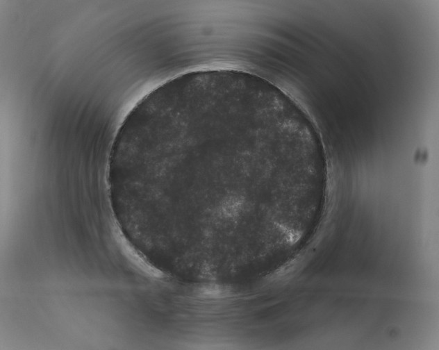 X0000110940797200907311015