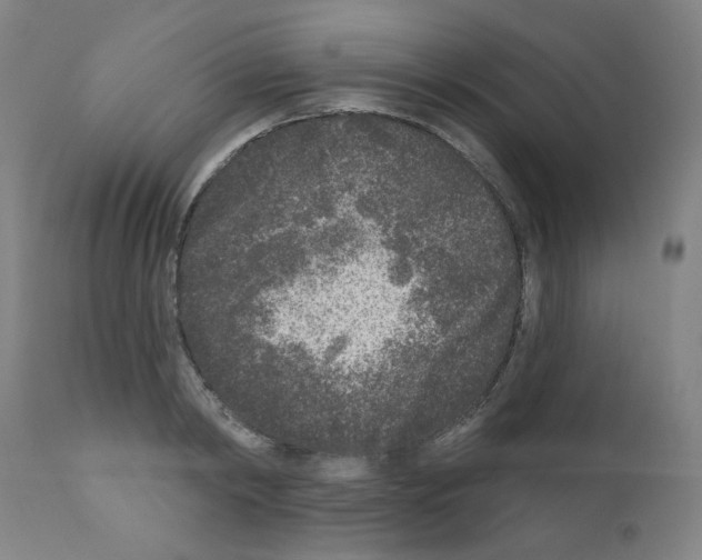 X0000110940798200907311015