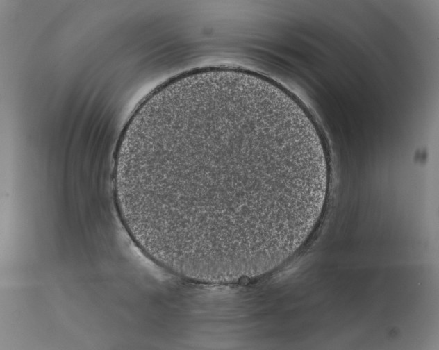 X0000110940799200907311015