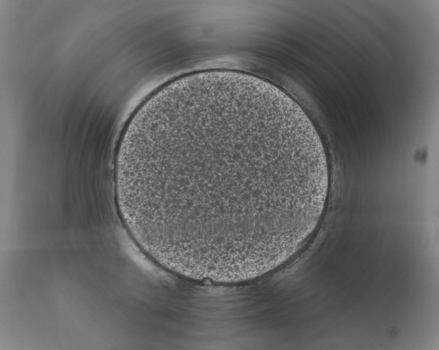 X0000110940800200907311015