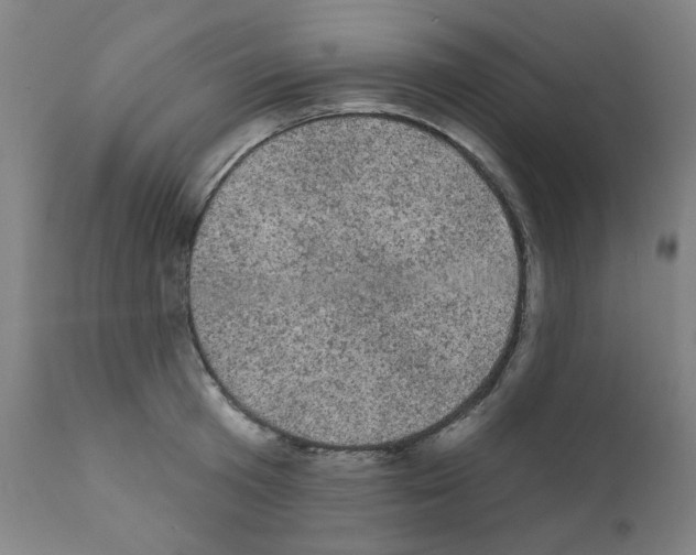 X0000110940801200907311015
