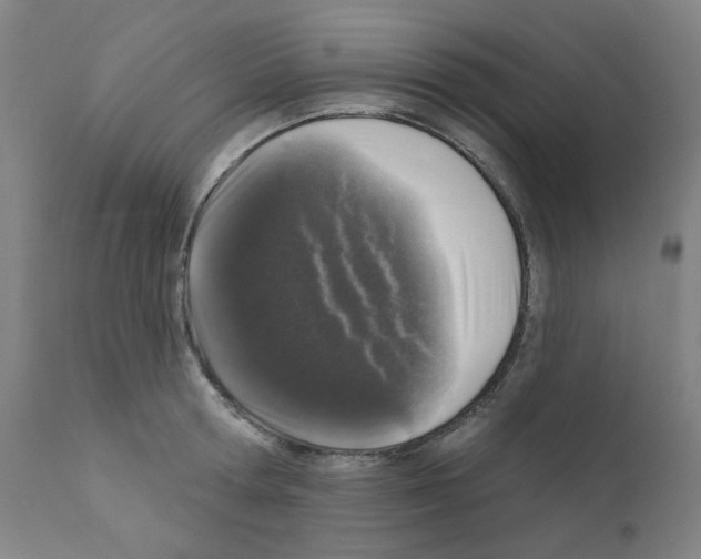 X0000110940802200907311015