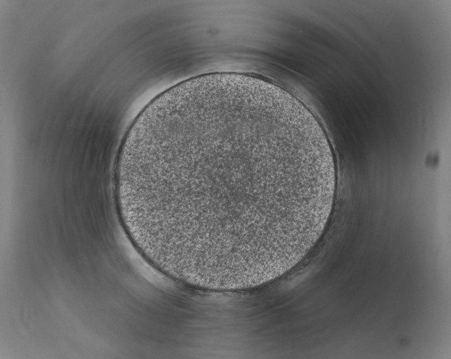 X0000110940803200907311015