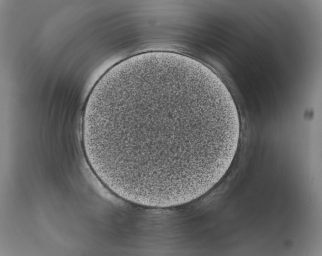 X0000110940804200907311015