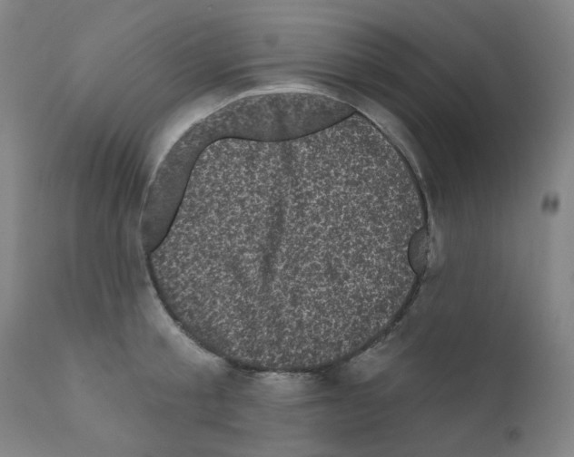 X0000110940805200907311015