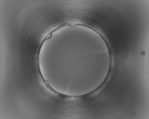X0000110940806200907311015