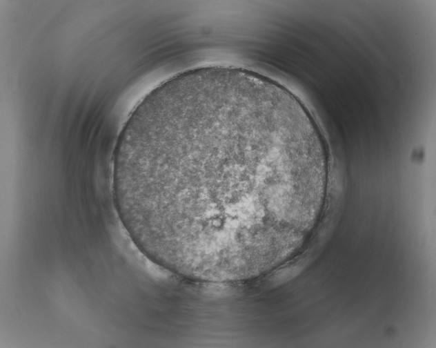 X0000110940807200907311015