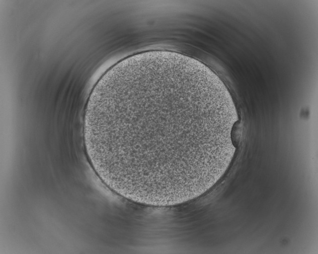 X0000110940808200907311015