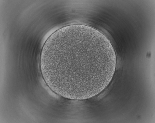 X0000110940812200907311015