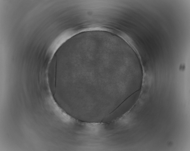 X0000110940813200907311015