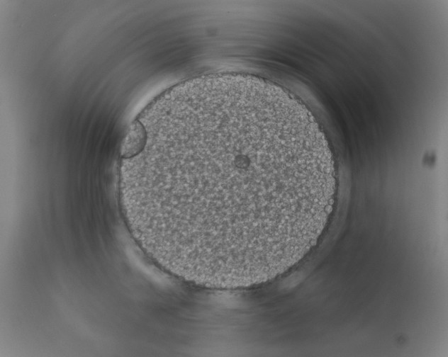 X0000110940814200907311015