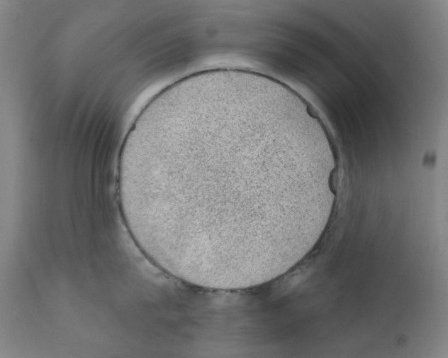 X0000110940815200907311015