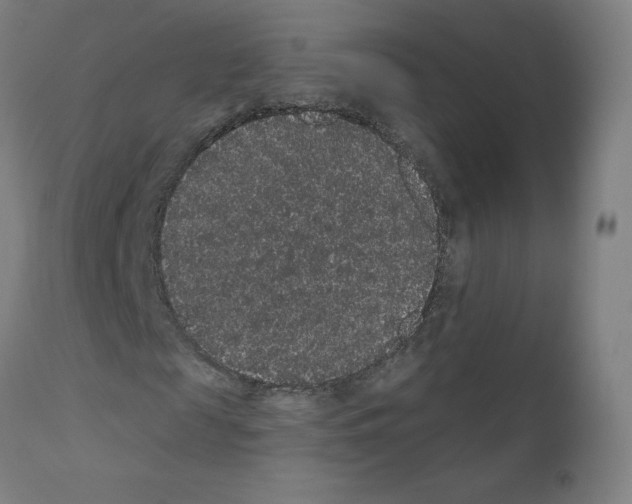 X0000110940817200907311014