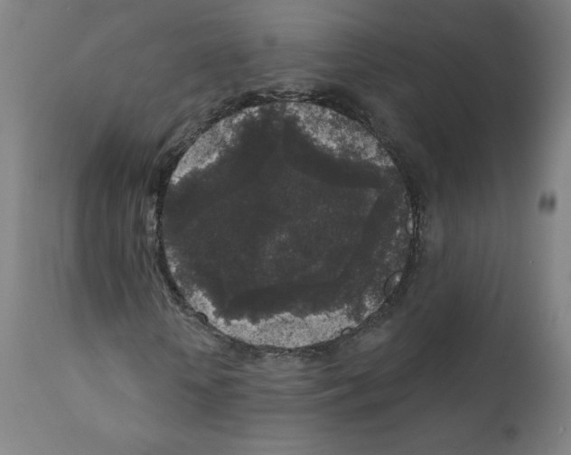 X0000110940818200907311014