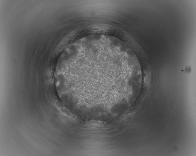 X0000110940819200907311014