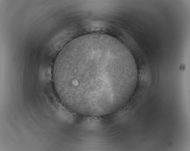 X0000110940820200907311014
