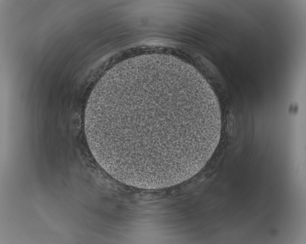 X0000110940821200907311014