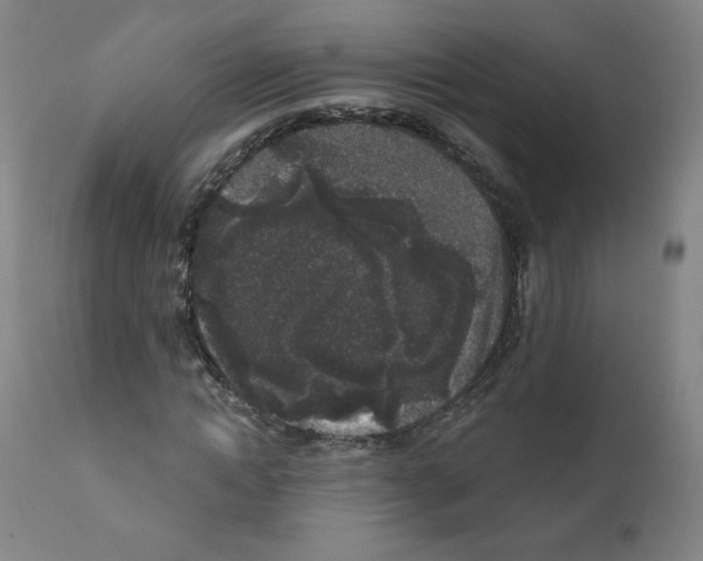 X0000110940822200907311014