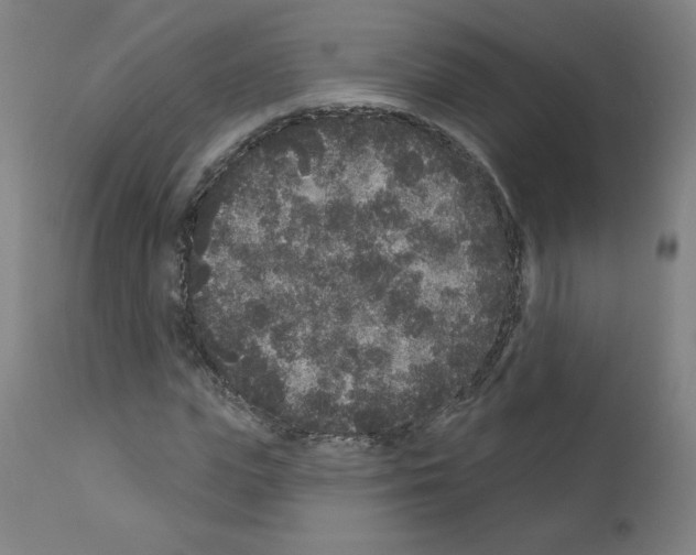 X0000110940823200907311014