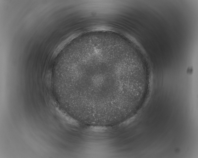 X0000110940825200907311014