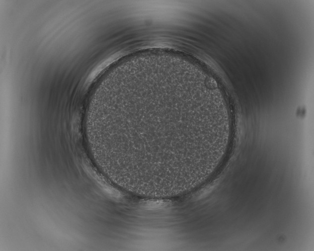 X0000110940826200907311014