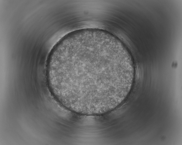 X0000110940828200907311014