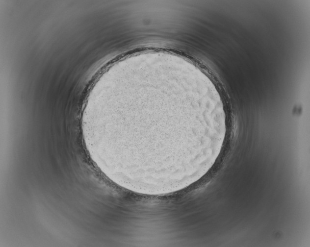 X0000110940829200907311014