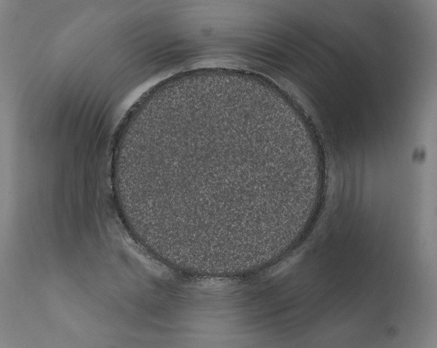 X0000110940830200907311014