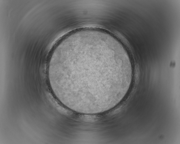 X0000110940831200907311014