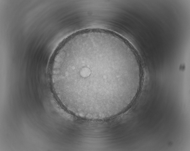 X0000110940832200907311014