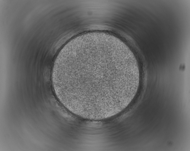 X0000110940833200907311014