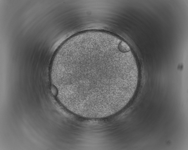 X0000110940834200907311014
