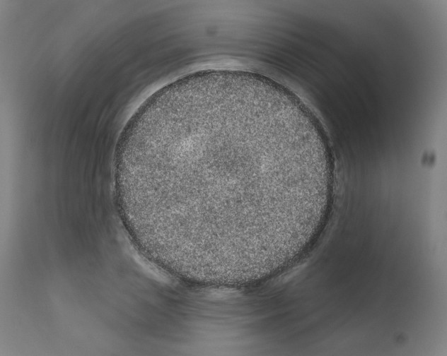 X0000110940837200907311014