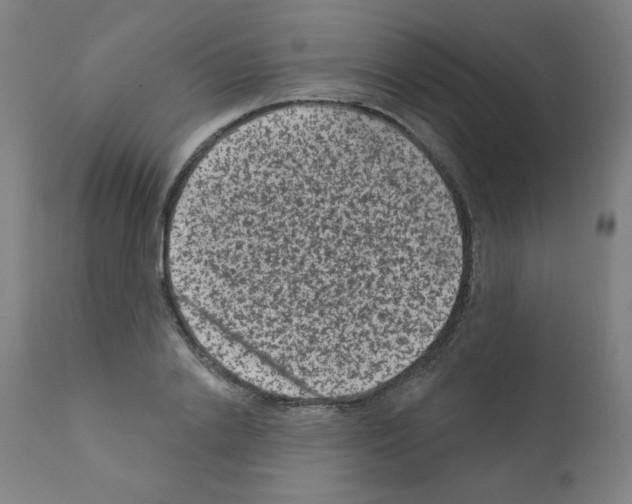 X0000110940838200907311014