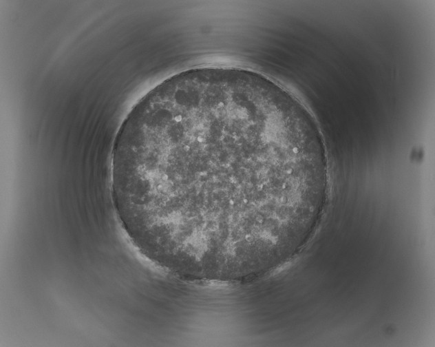 X0000110940839200907311014