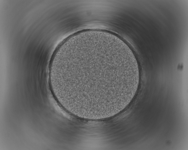 X0000110940840200907311014